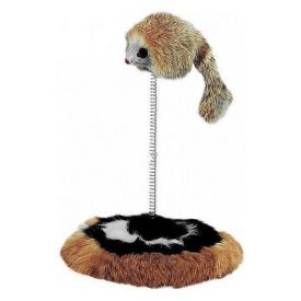 Nobby Cat Playing Court Small